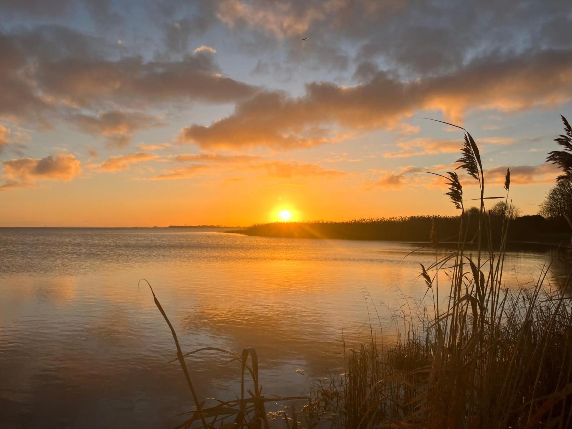 Grosse 4 Sterne Ferienwohnung Beim Boddenstrand Sundhagen-Niederhof Zewnętrze zdjęcie